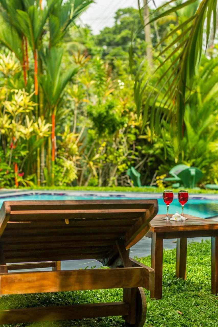 Sakura Villa Bentota Exteriér fotografie